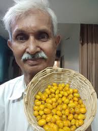 eatfruit&heal#fruitiet#fruitariancommunity#