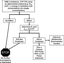 The Conduct Of In Vitro Studies To Address Time Dependent