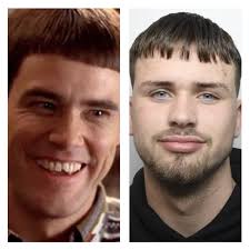 Wanted self-proclaimed Jim Carrey lookalike Stokie asks about reward for  own arrest