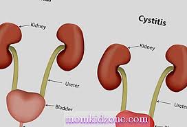 Dari awal kehamilan, uterus yang mengembang memberikan tekanan kepada pundi, lalu menyebabkan anda kerap kencing. Leukosit Dalam Air Kencing Semasa Mengandung Penyebab Gejala Rawatan Kehamilan 2021