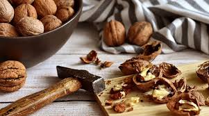 Premium walnut hullers for sale. Mechanical Strength In A Nutshell Advanced Science News