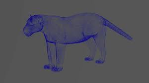 Besides trading and risk management aaron brown has devoted a large part of his life to poker. Aaron Brown Panthera Onca 3d Model