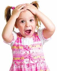 Osceola County seeks funding for research center from state legislature