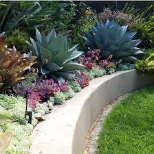 Pin By Dawn Hope On Yardstick Landscape Design Succulents Garden