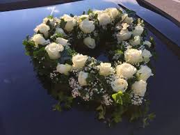 We did not find results for: Hochzeit Blumen Vanecek