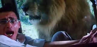 أحمد السقا ahmed el sakka. Ø£Ù„ÙˆØ§Ù† Ø§Ù„ÙˆØ·Ù† ÙÙŠØ¯ÙŠÙˆ ÙÙŠ ÙŠÙˆÙ…Ù‡ Ø§Ù„Ø¹Ø§Ù„Ù…ÙŠ Ù…Ù„Ùƒ Ø§Ù„ØºØ§Ø¨Ø© Ø¨ÙŠÙ† Ø§Ù„Ø£ÙƒØ´Ù† ÙˆØ§Ù„ÙƒÙˆÙ…ÙŠØ¯ÙŠ ÙÙŠ Ø§Ù„Ø³ÙŠÙ†Ù…Ø§