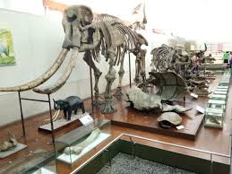 We did not find results for: Harga Tiket Masuk Museum Geologi Bandung Peta Lokasi Koleksi