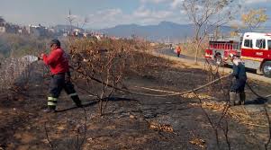 Incendio Provoca Caos En La Ex Garita El Imparcial De Oaxaca Utilizamos cookies propias y de terceros para analizar la navegacion de los usuarios, ofrecer promociones en funcion del comportamiento e integrar las redes sociales. el imparcial de oaxaca