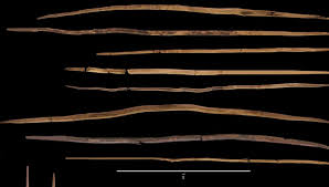 Oldest Wooden Spears To Hunt Horses ...