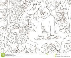 Vetor Do Livro Para Colorir Dos Desenhos Animados Dos Animais Da Selva Ilustracao Do Vetor Ilustracao De Animal Tigre 61196385
