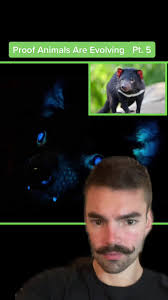 Ken Allen: The Evolutionary Orangutan at the San Diego Zoo