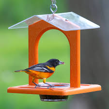 Bright orange color entices stunning orioles ez dining for orioles orioles love feeding on jelly, and our ez jelly feeder gives them two jelly dishes. Duncraft Com Sheltered Oriole Jelly Feeder