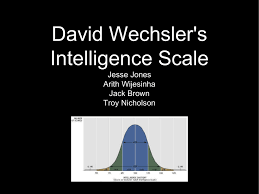 Image result for Wechsler Intelligence Scale