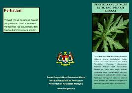 Kajian juga menunjukkan bahawa ia selamat. Brosur Penyediaan Jus Daun Betik Untuk Denggi