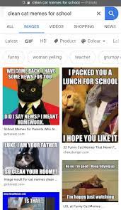 • • • bernie memes are so last week. Check These Clean Cat Memes Out Swagalishush Okbuddyretard
