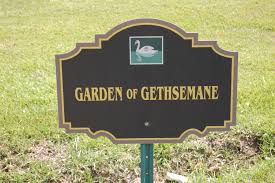 Norral Mary “Do” Mayeux Reynolds (1912-2004)