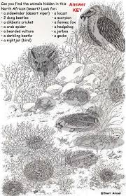 Sahara Desert Hidden Animals Hidden Pictures Hidden Picture Puzzles Animal Habitats