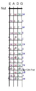 Bass Finger Board Layout