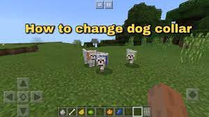 How To Make A Dog Collar In Minecraft Know It Info
