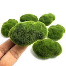 We would like to show you a description here but the site won't allow us. 4 Size Artificial Foam Green Moss Plants Decorations Fake Lawn Micro Landscape Diy Home Garden Lawn Floor Stone Moss Decor Artificial Plants Aliexpress
