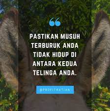 Meskipun terkesan singkat dan padat, tetapi tersirat makna mendalam untuk membuat kalian bangkit. Kata Kata Bijak Singkat Lucu Tapi Bermakna Cikimm Com