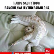 See more ideas about lol, wife humor, husband meme. Wew V Lentur Torres Meme Lucu Indonesia Facebook