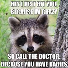 Hey I Just Bit You Because I M Crazy So Call The Doctor Because You Have Rabies Funny Animal Memes Laugh Haha Funny
