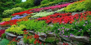 Photo of a traditional full sun backyard flower bed in boston for summer. How To Start A Flower Garden 3 Steps For Beginners Garden Design