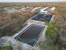 Yucatán: el Anillo de Cenotes ante la crisis hídrica y el avance industrial  - Pie de Página