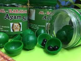 Kata barakah banyak kita dapati dalam al quran dan hadits. Al Barakah Ayam Selasih Jb Branch December 2016