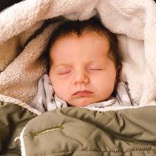 I said goodbye to my buddy Cooper. We had 14 years together. I'm glad he  got to meet Carolina, and it made me wonder how I'll describe him years  from now when