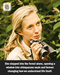 Today, we remember Dr. Jane Goodall, whose life showed us the power of  curiosity, compassion and courage. She taught the world that animals are  individuals with lives, families and feelings—and that every
