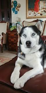 Duman He Is Really Handsome Isn T He