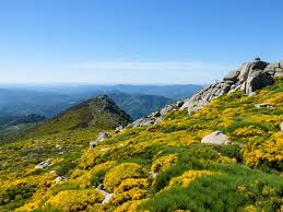 Cévennes — geographical name mountain range s france w of the rhône at e edge of massif cévennes — a range of low mountains on the eastern edge of the central plateau of france. France The Cevennes Naturetrek