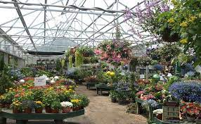 Image Result For Garden Center Vernon Ct The Garden Barn West Street Vernon Ct Nursery Phone Fax E Mail Info Garde Garden Center Woodland Garden Plants