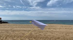 La chanson que tu me chantais. Oiseau Cerf Volant Kite Bird Tuto Bricolage Diy Activite Manuelle Youtube