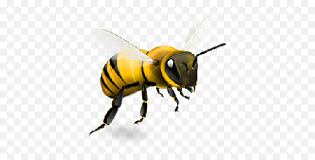 Look at links below to get more options for getting and using clip art. Bee Png And Vectors For Free Download Realistic Transparent Background Bee Clipart Emoji Bumble Bee Emoji Free Transparent Emoji Emojipng Com