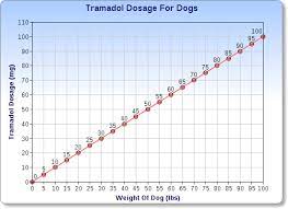 Tramadol For Dogs What You Need To Know
