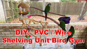 Tie the end of a thin string to a wooden bead. How To Build Your Own Bird Play Gym Spiffy Pet Products