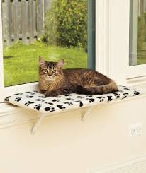 K&h pet products ez window mount kitty sill. Cats Are Natural Climbers In Fact Your Cat S Wildcat Ancestors Spent Significant Portions Of Their Days Lounged On Th Cat Window Perch Cat Window Cat Shelves
