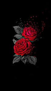 Cartas De Cristo Rose Wallpaper Red Roses Wallpaper Black Wallpaper Iphone Dark