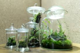 ボトル ガーデン