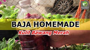 Cara buat baja organik penyediaan bekas sisa makanan lunastory com. Cara Buat Baja Kulit Bawang Merah Untuk Suburkan Tanaman