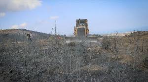 Newcastle united likely to need to pay premium beyond transfer fee to land target. English Football Club Gives Saplings To Turkish Forests