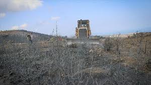 Lee kevin carsley (born 28 february 1974) is a former professional footballer who is head coach of england u21. English Football Club Gives Saplings To Turkish Forests