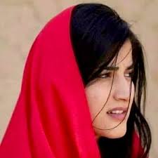 Farid. Masoud (@masoud_farid)