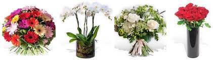 Help future customers by talking about customer service, price, delivery, returns & refunds. The 9 Best Options For Flower Delivery In Tacoma Washington 2021