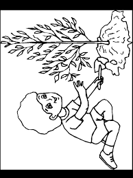 Pin De Arapu Doina Em Decor Paginas Para Colorir Arvore Para Pintar Paginas Para Colorir Para Adultos