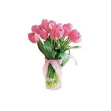 Explore more searches like sekuntum bunga. Gambar Bunga Tulip Asli