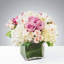 Feel free to call one of our floral design experts standing by to assist you with flower selections, arrangements, containers, even what to say in the card. Carolina By Bloomnation In Fort Lauderdale Fl Brigitte S Flowers Galore